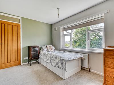 Picture 13